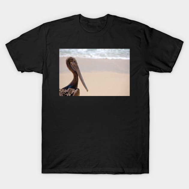 Brown Pelican T-Shirt by randymir